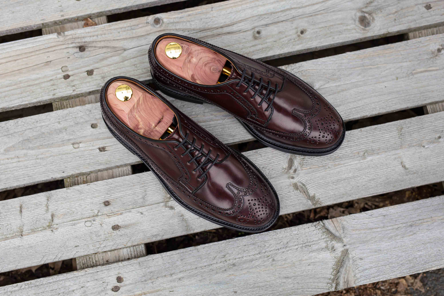 Yanko longwing derby bordeaux Shell cordovan